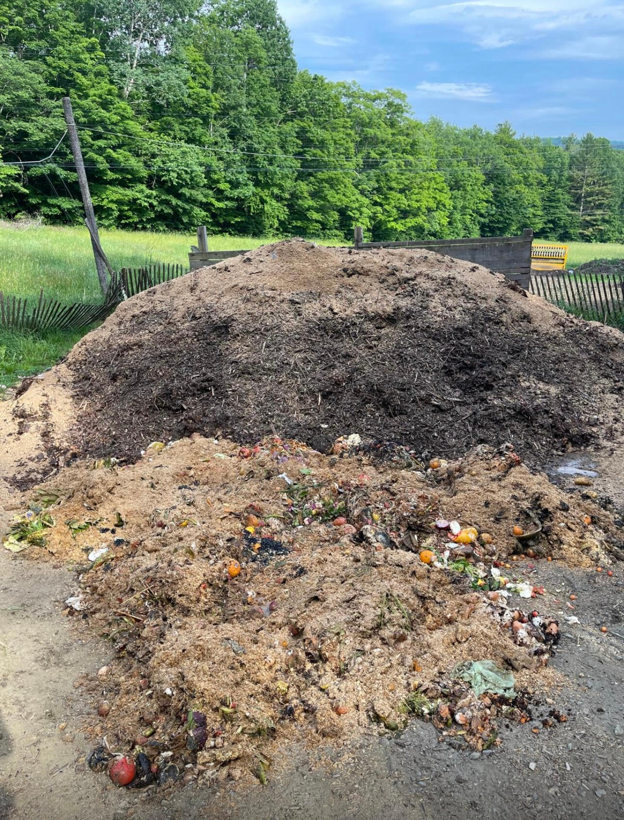 Dirt pile with food waste Dirt pile with food waste